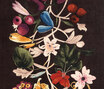 About Flowers - Flowers col. 001 About Flowers - Flowers col. 001