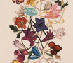 About Flowers - Flowers col. 002 About Flowers - Flowers col. 002