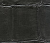 Anguille big croco galuchat VP 423 06 Anguille big croco galuchat VP 423 06