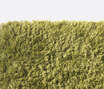 Bamboo - 1819 Bamboo - 1819