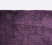 Bambusa - 1912 Bambusa - 1912