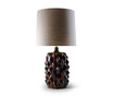 Baobab Tortoise Shell - CLB21-TRS Baobab Tortoise Shell - CLB21-TRS