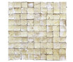 Coco Shells | Palawan RM 940 01 Coco Shells | Palawan RM 940 01