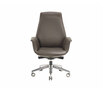 Downtown Executive Downtown Executive