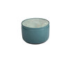 DS-800 Biscuit DS-800 Biscuit