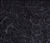 Erased Classic | Lace Erased Classic | Lace