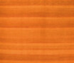 Gamba | Uni Gamba | Uni