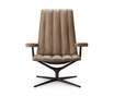 Healey Lounge Chair Healey Lounge Chair