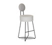 Lotta Bar Stool with Backrest - BW-989-5001 Lotta Bar Stool with Backrest - BW-989-5001