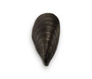 Mussel Shell Bathroom Wall - BWL03-AQB Mussel Shell Bathroom Wall - BWL03-AQB