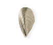 Mussel Shell Bathroom Wall - BWL03-AQB Mussel Shell Bathroom Wall - BWL03-AQB
