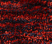 Mystique 170080 Mystique 170080