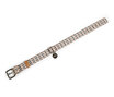 Pet Collection | Collar Pet Collection | Collar