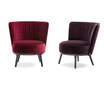 Polo Cocktail Armchair - BW-107-1002 Polo Cocktail Armchair - BW-107-1002
