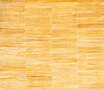 Precious Panel gold Precious Panel gold