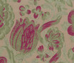 Rousseau - Dorata Rousseau - Dorata