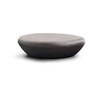 Stony Stony