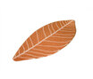 Symbiosis | Leaf - 540115 Symbiosis | Leaf - 540115