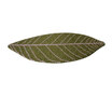 Symbiosis | Leaf - 540118 Symbiosis | Leaf - 540118