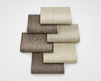 Molly 2 - 0154 Molly 2 - 0154