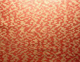 Papyrus - 48552 Papyrus - 48552