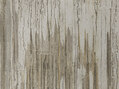 Coral Wall 881 Coral Wall 881