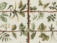 Espalier (Tapijt) Espalier (Tapijt)