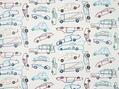 Les bolides de stanislas Les bolides de stanislas