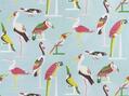Les oiseaux perches Les oiseaux perches