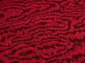 Moire wilton Moire wilton