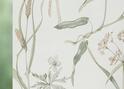 Roller blinds 7479 Roller blinds 7479