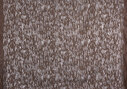 Sparkling Willow col. 002 Sparkling Willow col. 002