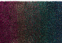 Technicolour Field - 0795 Technicolour Field - 0795