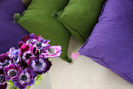 Archipel LI 736 47 Archipel LI 736 47