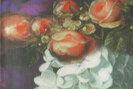 Euphorica - 13703301 Euphorica - 13703301