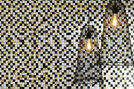 Coco Shells | Camarines RM 942 02 Coco Shells | Camarines RM 942 02