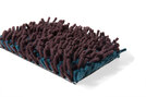 Foret - 820010 Foret - 820010