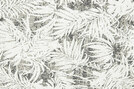 Palmera 805 - 14638805 Palmera 805 - 14638805