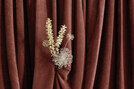Philae | TV 515 05 Philae | TV 515 05