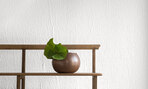 Washi | Splendeurs d'une favorite RM 221 49 Washi | Splendeurs d'une favorite RM 221 49