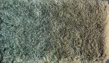 Sauvage dégradé 380090 Sauvage dégradé 380090