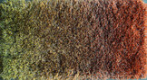 Sauvage dégradé 380070 - 380070 Sauvage dégradé 380070 - 380070