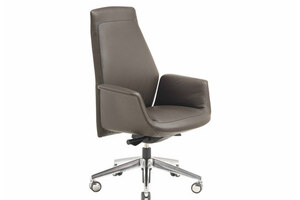 Downtown Executive Downtown Executive