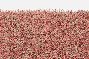 Grano - 0231 Grano - 0231