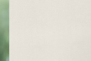 Oyster Topar 6448 Oyster Topar 6448