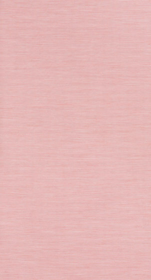 Accent - 0010 Accent - 0010