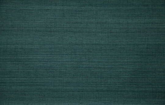 Oculaire Line - 80706 Oculaire Line - 80706