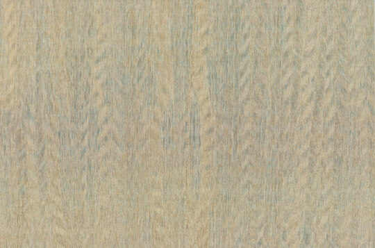 Amazone 2 Fierce - 23501 Amazone 2 Fierce - 23501