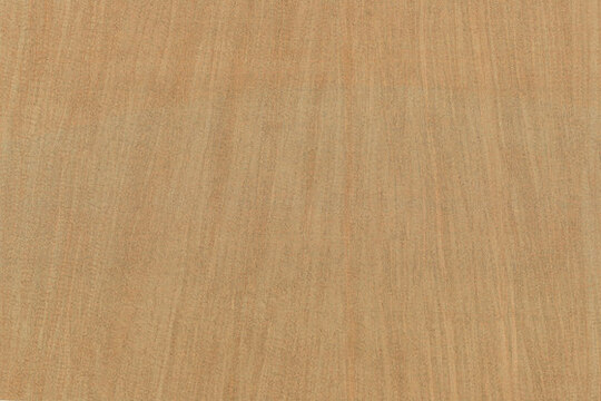 Amazone 2 Pristine - 23521 Amazone 2 Pristine - 23521