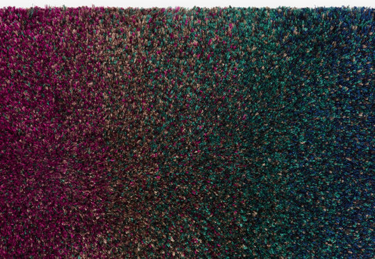 Technicolour Field - 0695 Technicolour Field - 0695